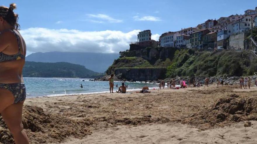 Ocle en la playa de Lastres.