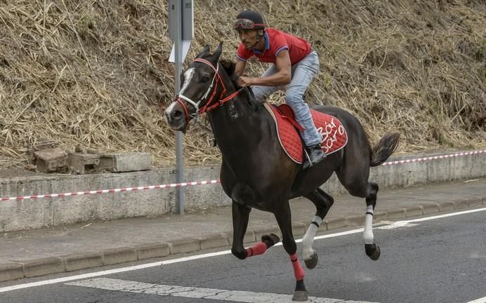 16/09/2017 TEROR. Carrera de caballos en la Avda. del Cabildo en Teror.  FOTO: J.PÉREZ CURBELO