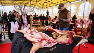 Villanueva de Córdoba celebra su 20ª Fiesta de la Matanza en torno al cerdo 100% ibérico