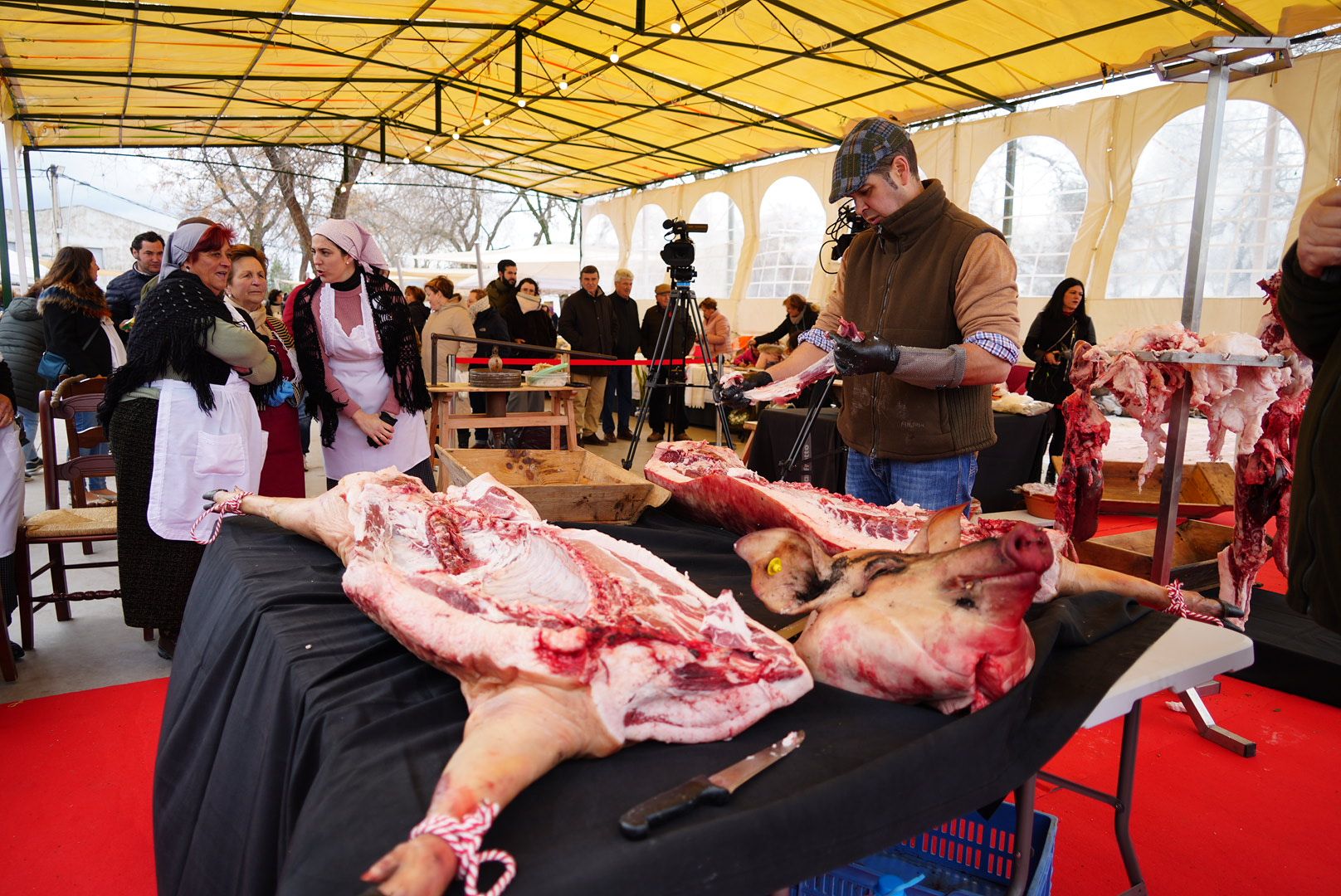 La Fiesta de la Matanza de Villanueva de Córdoba, en imágenes