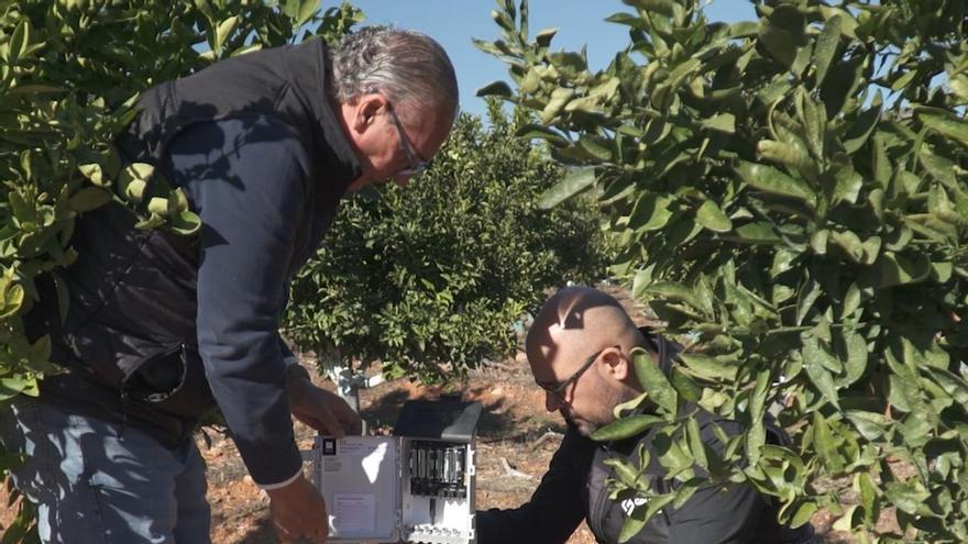 Del campo a la pantalla: cómo la digitalización revoluciona la gestión agraria