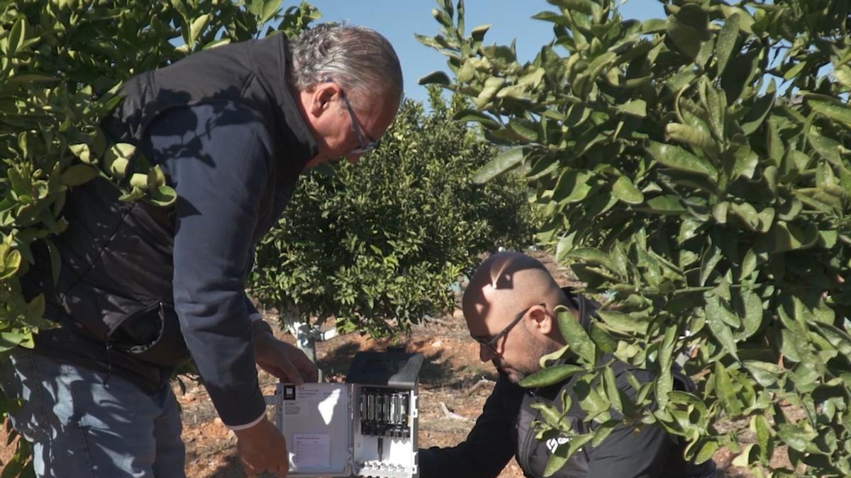 cómo la digitalización revoluciona la gestión agraria