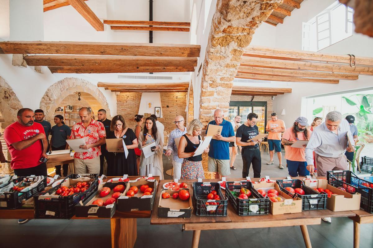 La convocatoria está abierta a todos los agricultores que cultivan tomates en la Comunidad Valencia