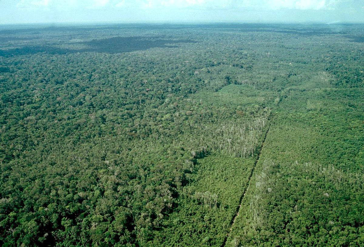 Areas deforestadas en la amazonia peruana.