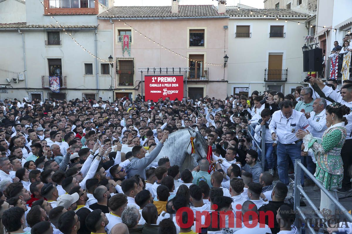 Entrega de premios del concurso de 'Caballo a pelo' en Caravaca