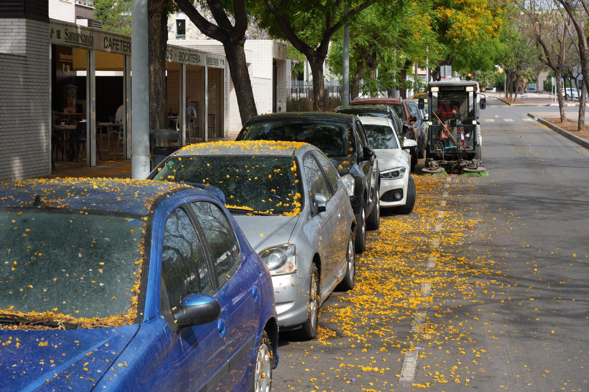 La floración tiñe las calles de Castelló
