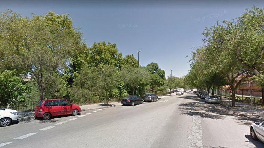 Restablecido el tráfico en la calle María de Aragón tras la caída de un árbol