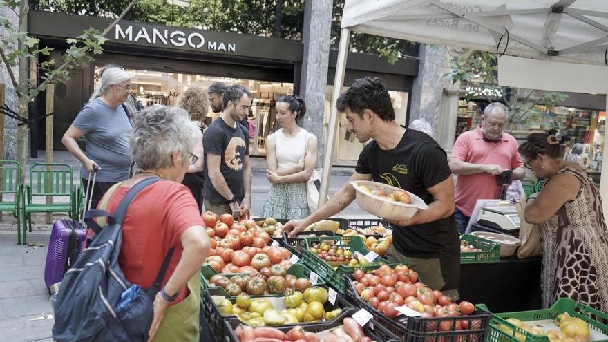 El Mercat del Tomàquet ven 1.300 quilos de producte i es consolida com a referent gastronòmic de la Catalunya Central