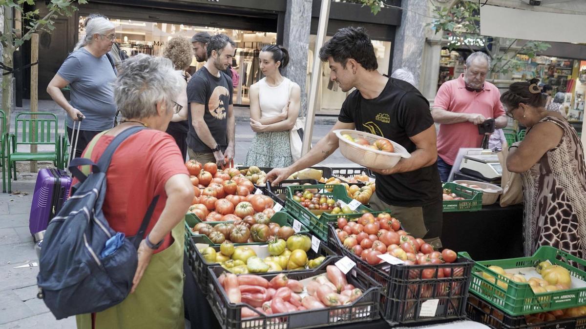 Mercat del Tomàquet, 2026