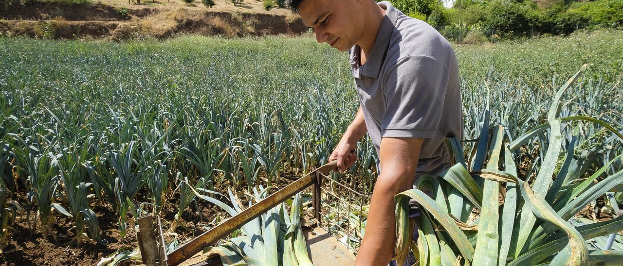 Un joven agricultor trabaja en su finca.