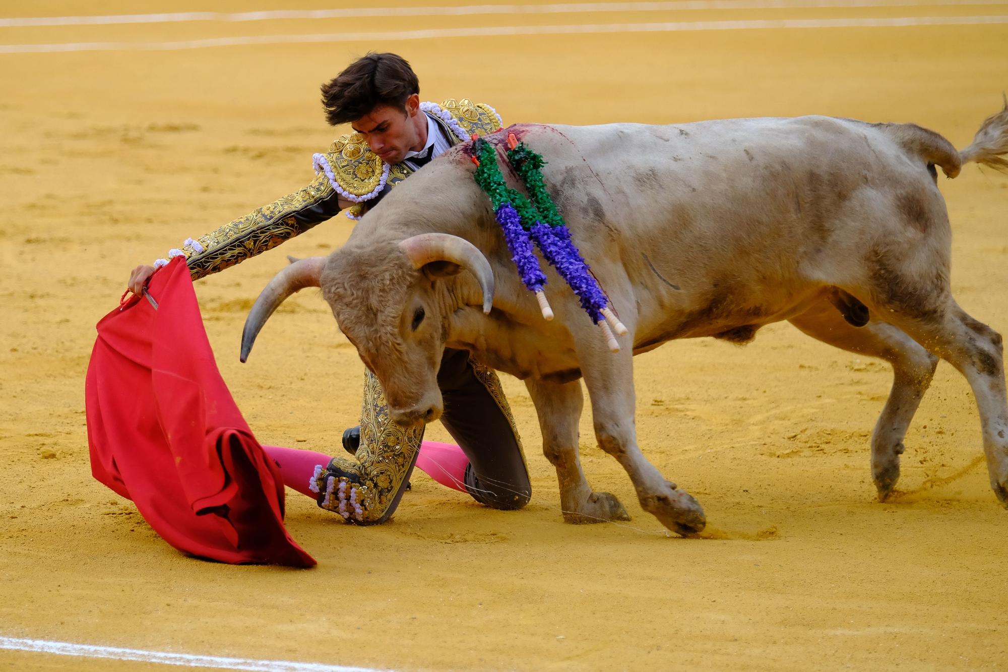 Toros en la Feria I Octava corrida de abono en la Malagueta:  2ª Semifinal de las Escuelas Taurinas