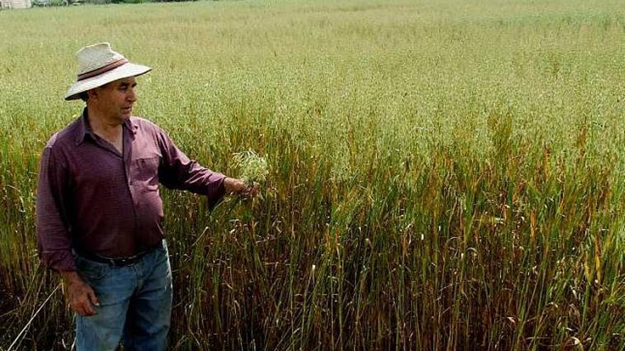 Asaja de Catral reclama seguros agrarios más &quot;transparentes&quot;