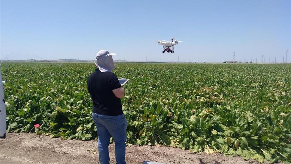 Los drones se han convertido en una herramienta más de trabajo para la innovación en el campo.