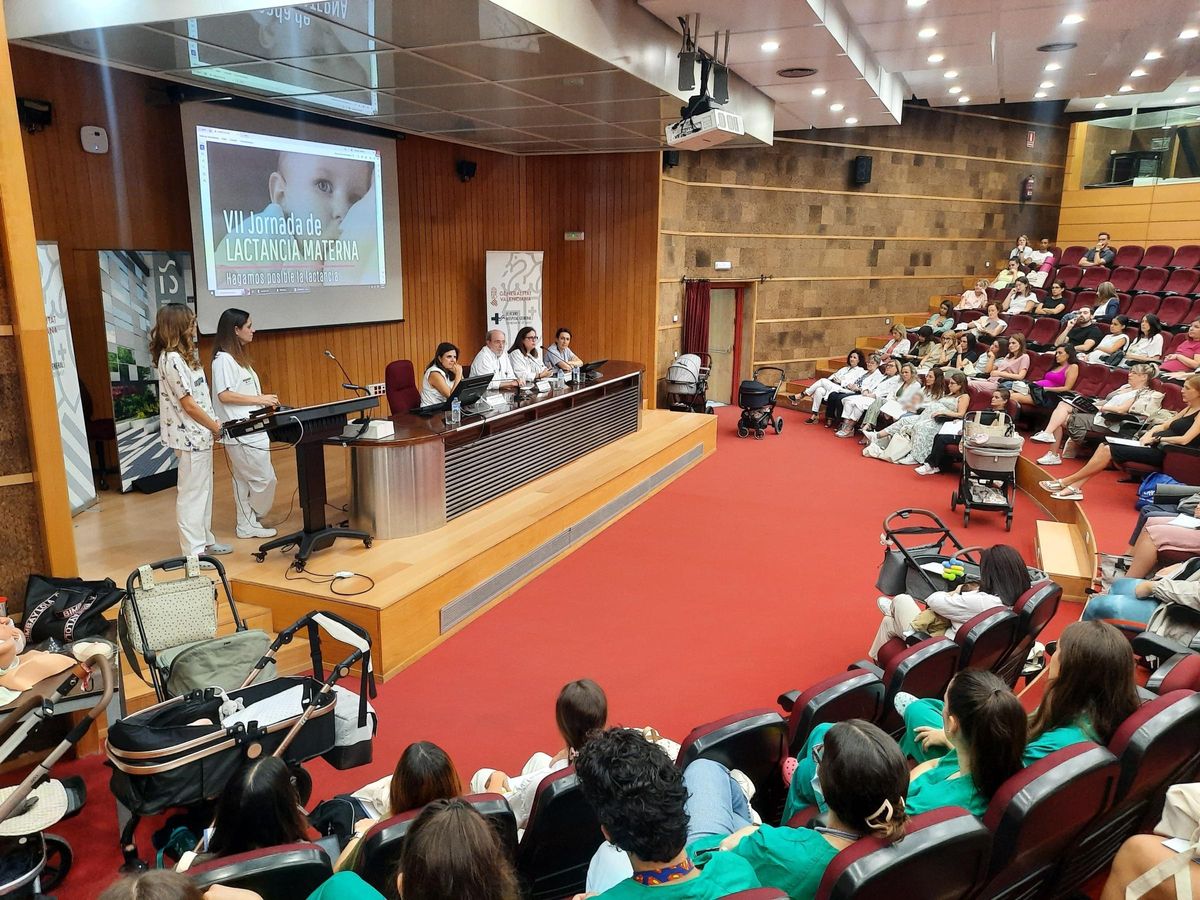 Asistentes a las jornadas sobre lactancia materna este viernes en el Hospital de Alicante