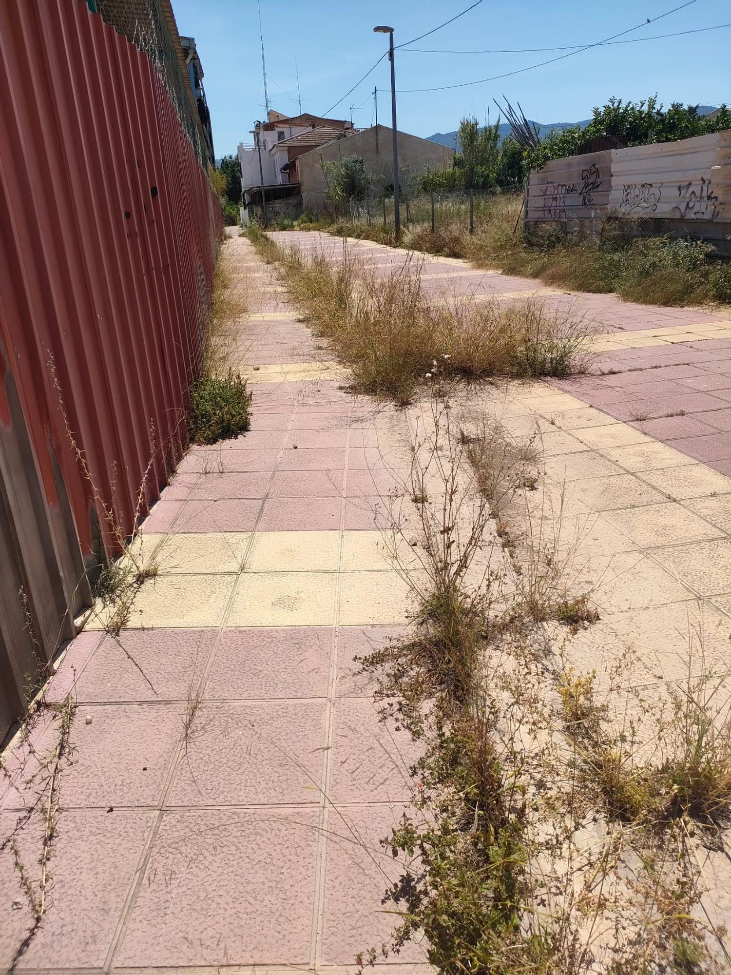 WhatsApp Image 2025-09-30 at 21.34.20 (4).jpeg