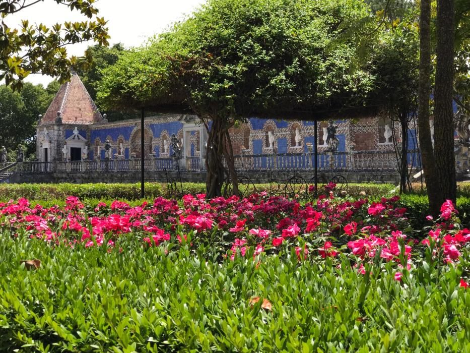 Rosa "Castell d'Alaquàs" en el palacio Fronteira de Lisboa.