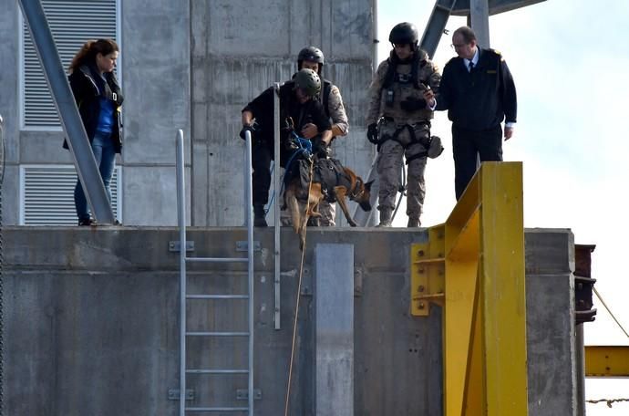 08/05/2019 TALIARTE. TELDE. Simulacro del ejército de operación contra el tráfico de drogas . Fotógrafa: YAIZA SOCORRO.  | 08/05/2019 | Fotógrafo: Yaiza Socorro