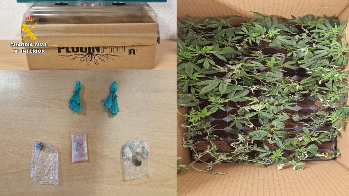 Parte del contenido incautado, que incluye marihuana y otras sustancias.