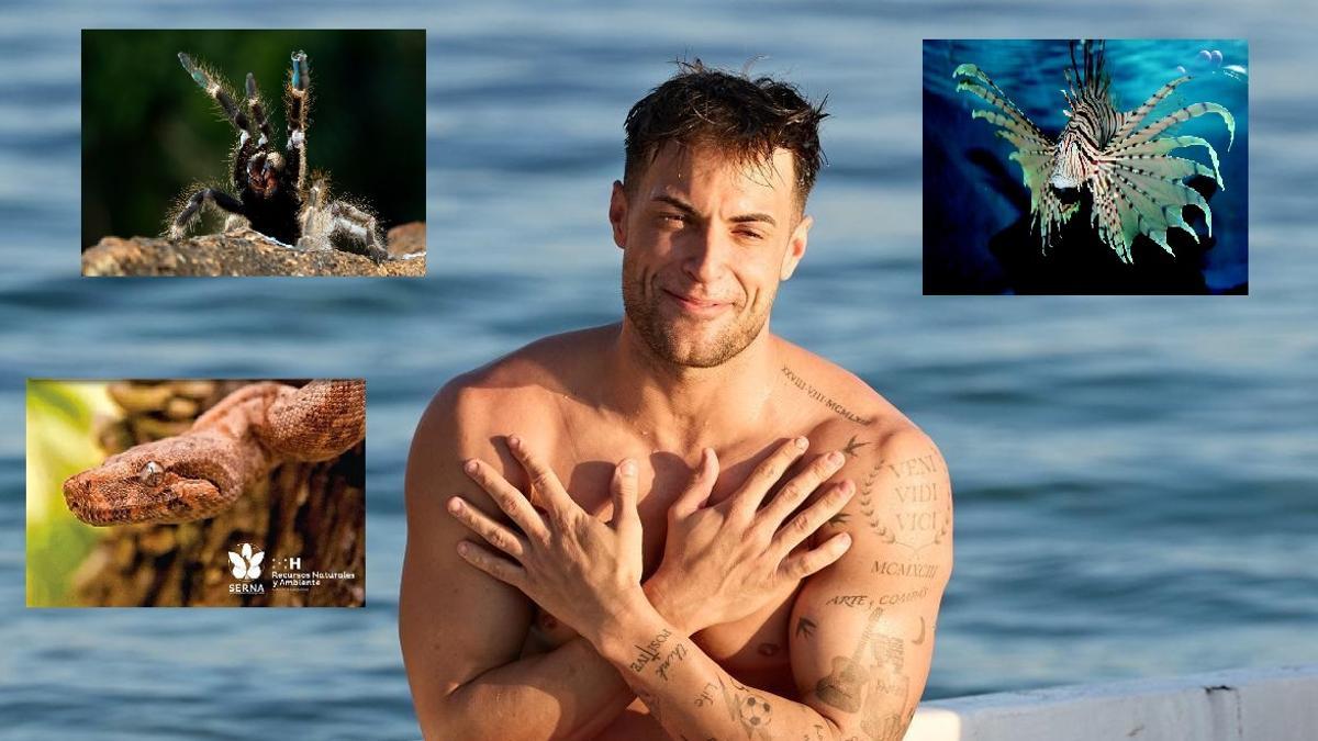 Desde tarántulas hasta tiburones: Los animales que los Supervivientes verán en Cayos Cochinos