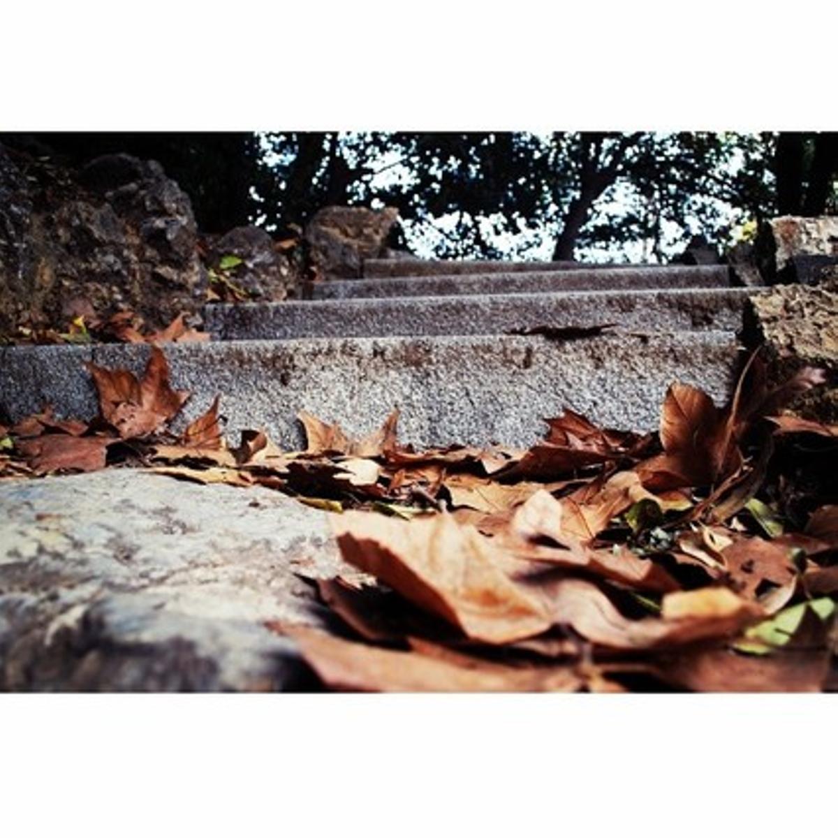 El otoño bajando por las escaleras.