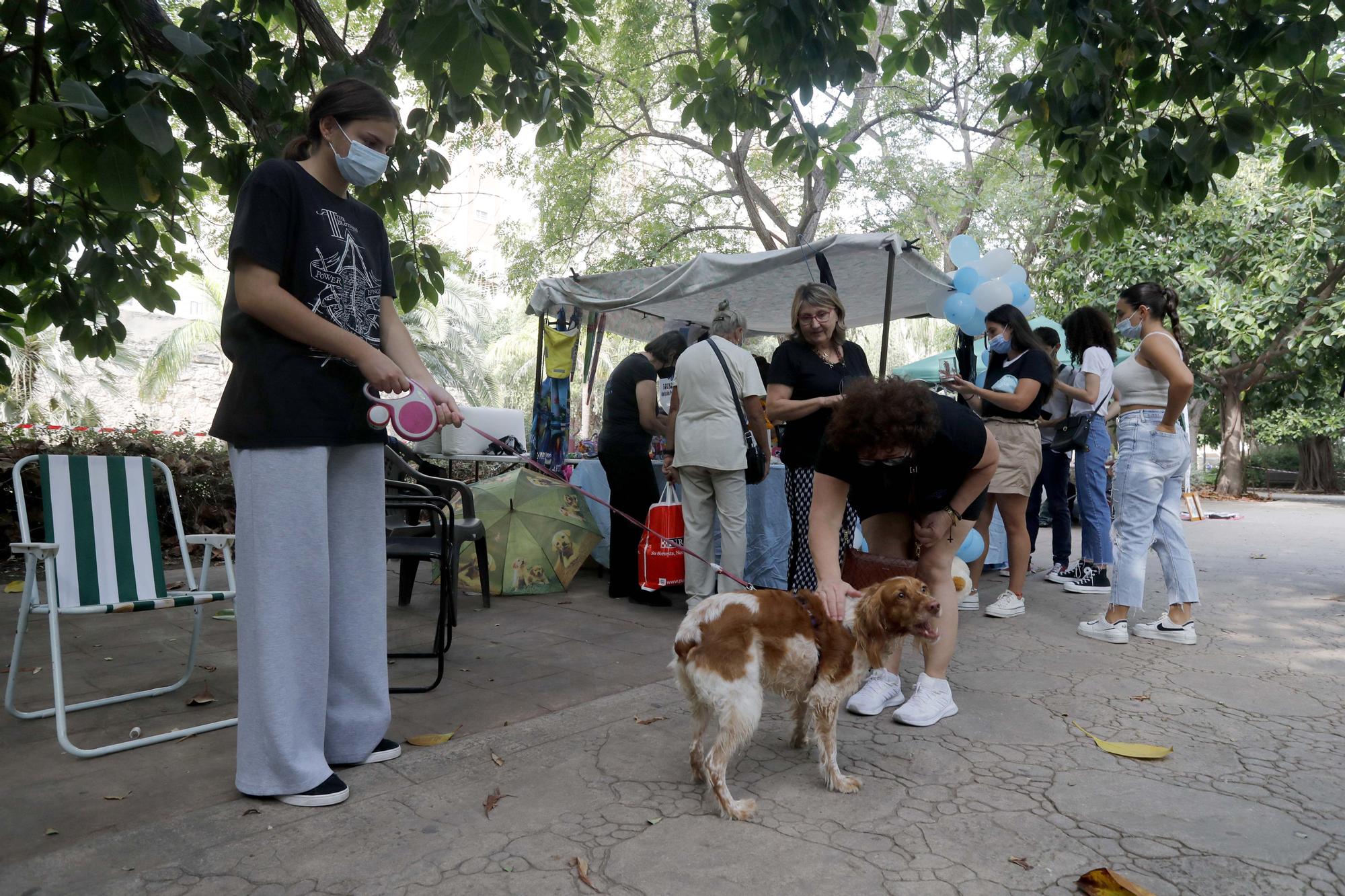 ¡Qué animalada!