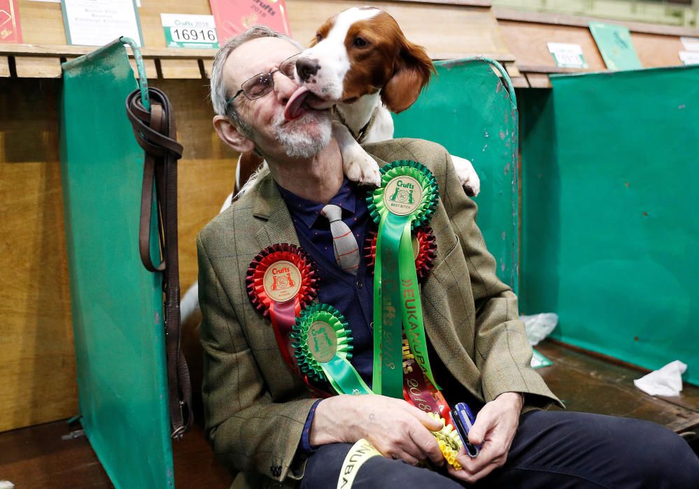 Crufts Dog Show, l'exhibició de gossos més gran d'Anglaterra