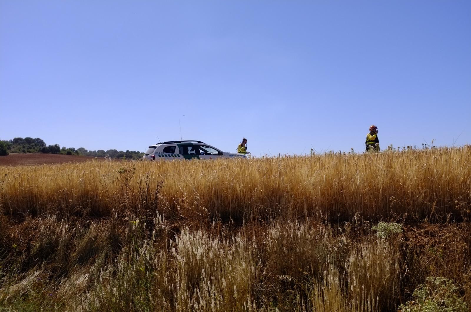 GALERÍA | El incendio forestal de Manganeses de la Polvorosa en imágenes