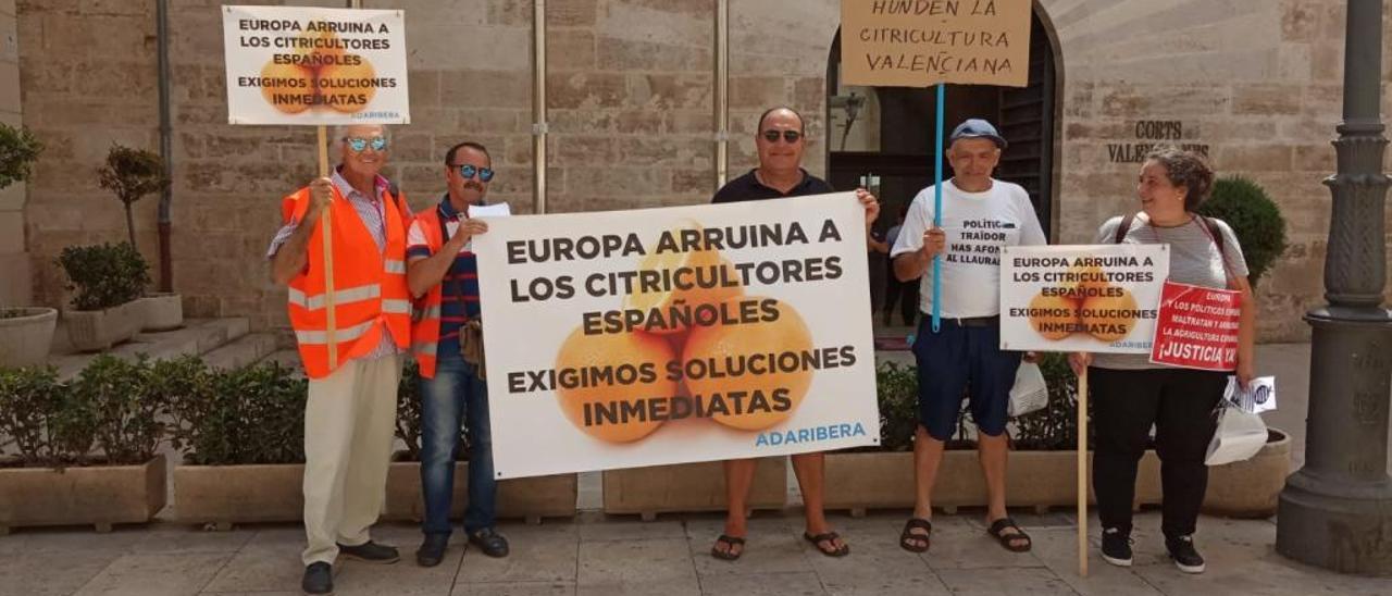 Miembros de AdaRibera ante las Corts Valencianes.