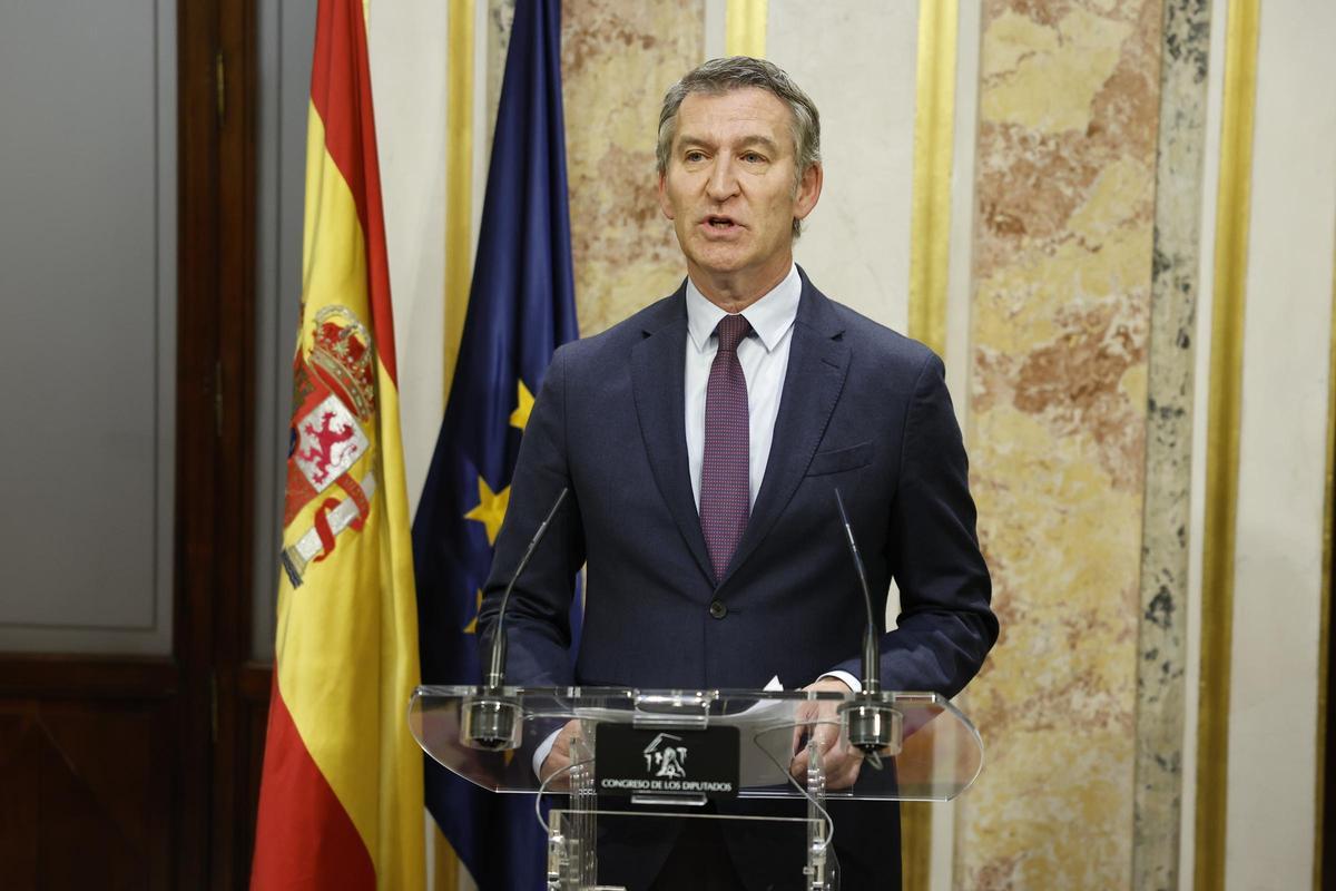 El presidente del PP, Alberto Núñez Feijóo, comparece en el Congreso.