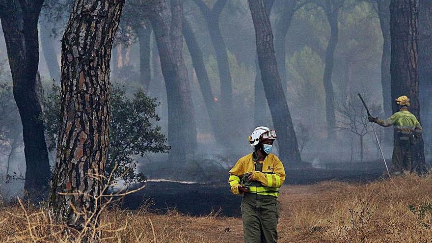 Un fuego en Simancas quema 30 hectáreas