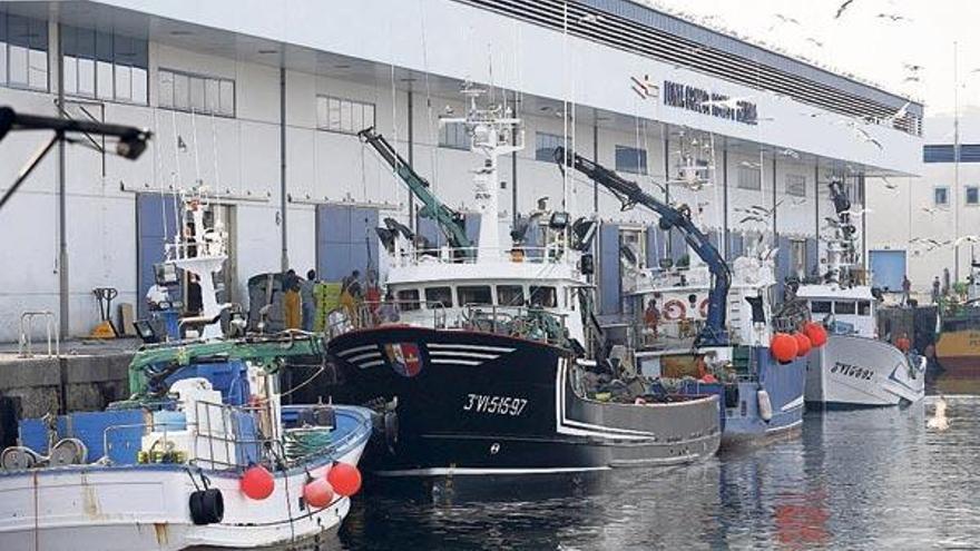 Barcos de la flota de cerco amarrados en el puerto de Vigo.  // Ricardo Grobas