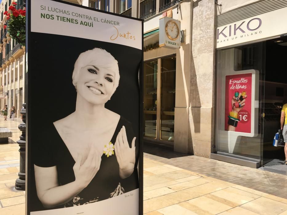 Daños en la exposición de la AECC en la calle Larios.