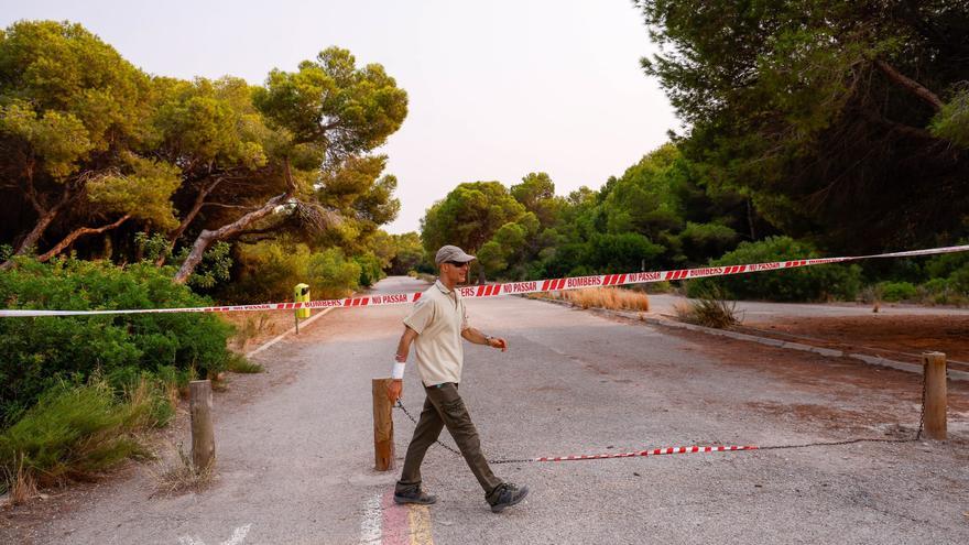 La Devesa del Saler, cerrada ante el riesgo de incendio
