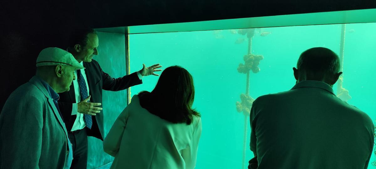Abre «Atlántida», una ventana privilegiada para observar la riqueza de la ría de Vigo