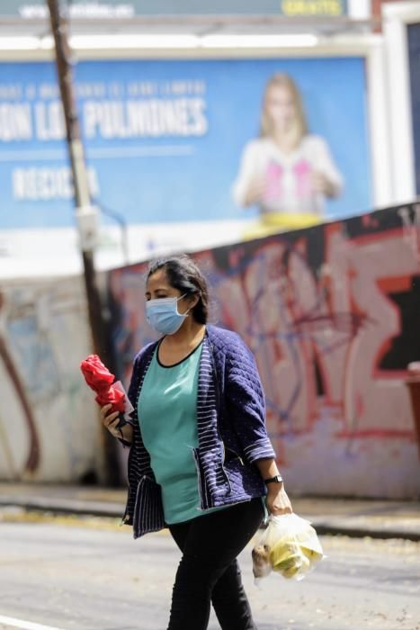 Coronavirus | Paseos por La Laguna y Santa Cruz