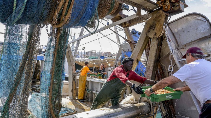 La flota de arrastre de Alicante estrena las nuevas redes impuestas por la UE