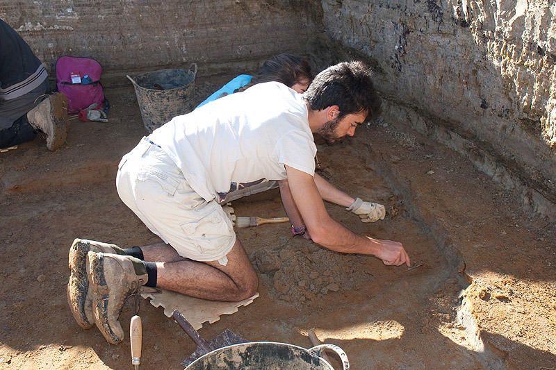 Els arqueòlegs troben un esquelet de tortuga i empremtes de fulles al Camp dels Ninots