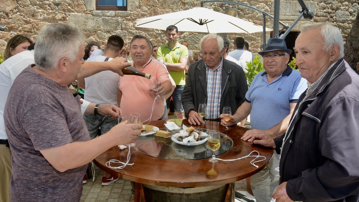 Festa do Viño de Barro de 2018.