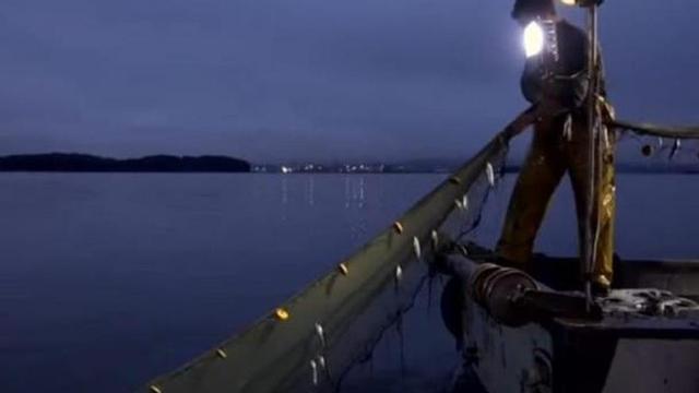 Un mariñeiro de Rianxo pescando xoubas a bordo dunha embarcación xeiteira. | CEDIDA