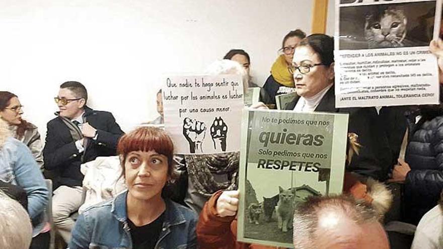 Protesta en Marratxí por las colonias felinas