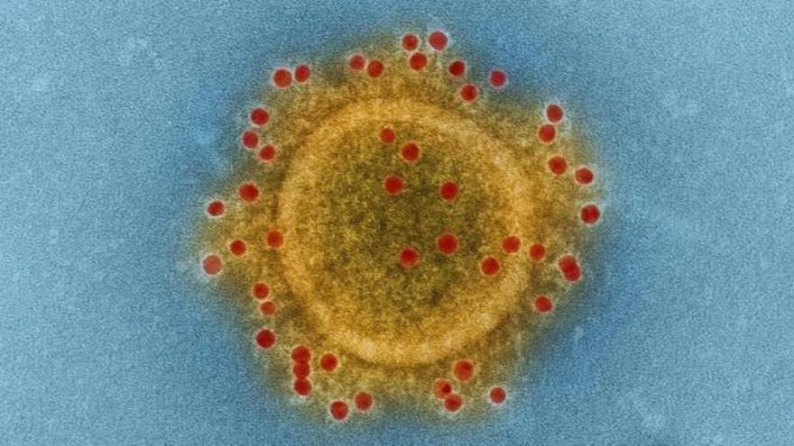 El coronavirus es el primer virus de la nueva era viral.