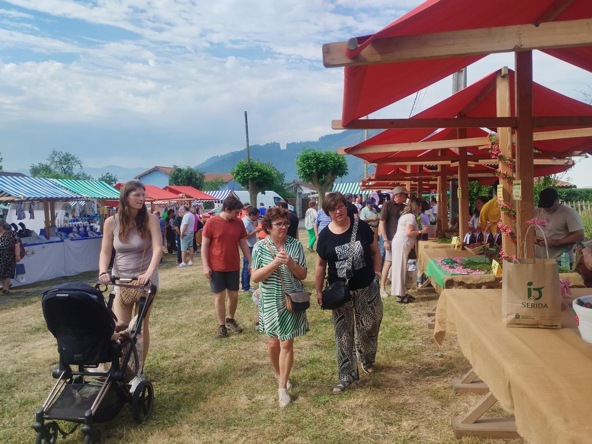 El Festival de la Fresa de Candamo, en imágenes