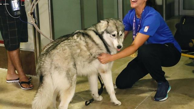 CAROLINA MARÍN LLEGA A MADRID CON SU TERCER TÍTULO MUNDIAL