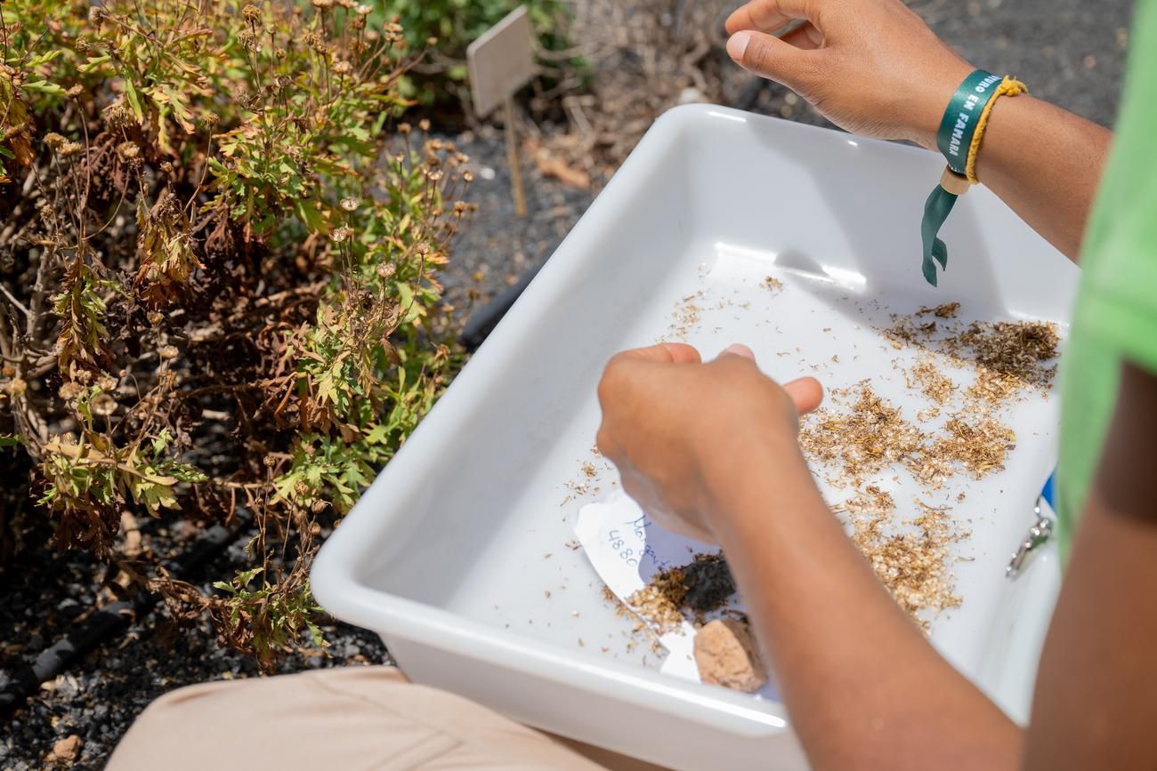 Transición Ecológica premia a los 'Guardianes de Famara' por la restauración ecológica