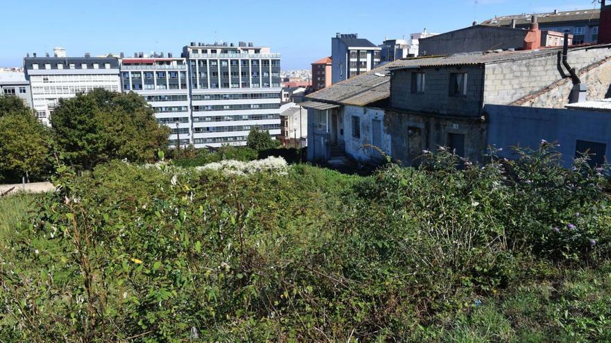 Maleza en una finca de’ O Castrillón. |   // VÍCTOR ECHAVE