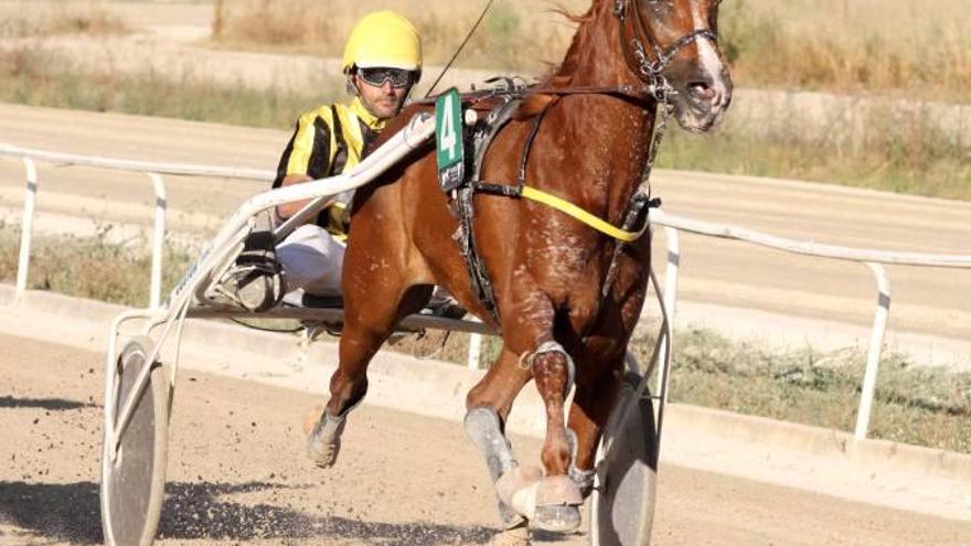 Tomado du Saphir venció en la octava carrera.