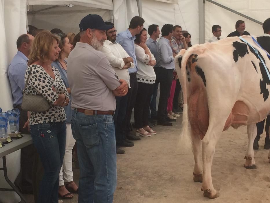 El sector lácteo reivindica su importancia en la Fira de Campos