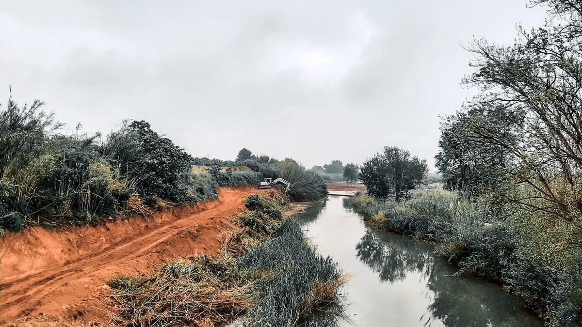 Retirada de cañas en la Vallesa