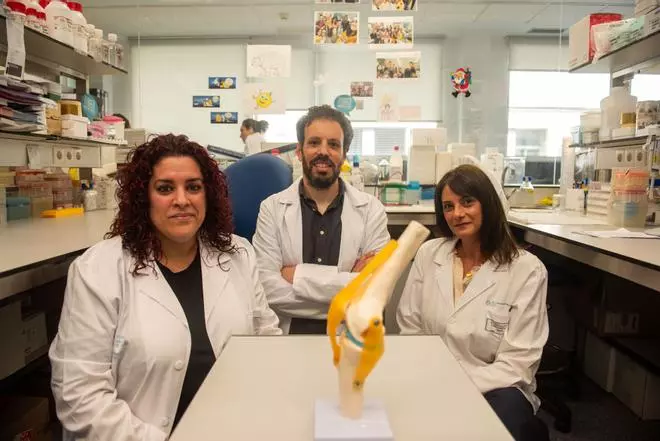 Investigadores de A Coruña hacen doblete en la 'cumbre' estatal de la Reumatología: sus estudios sobre artritis reumatoide y artrosis, los mejores de España