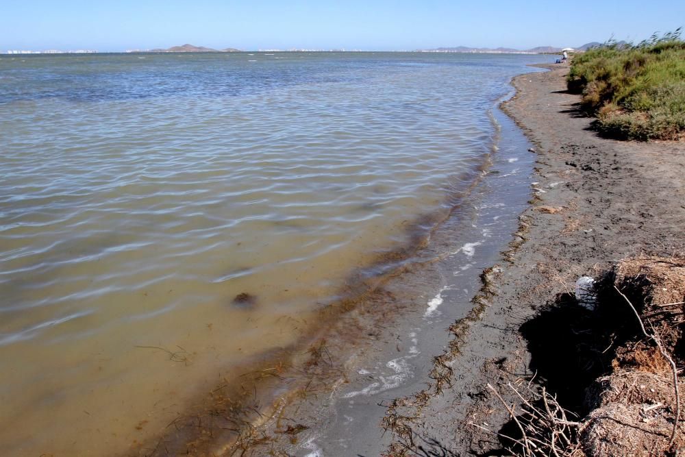 La rambla de El Albujón, epicentro de los vertidos al Mar Menor